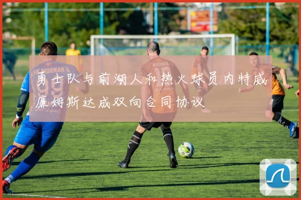 勇士队与前湖人和热火球员内特威廉姆斯达成双向合同协议