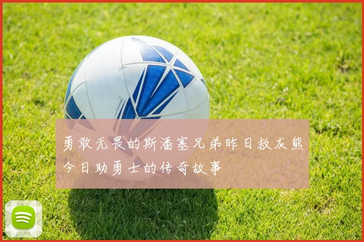 勇敢无畏的斯潘塞兄弟昨日救灰熊今日助勇士的传奇故事