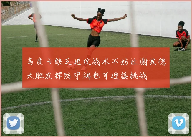 乌度卡缺乏进攻战术不妨让谢泼德大胆发挥防守端也可迎接挑战